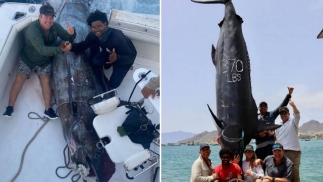 FOTO: Pescadores fisgam peixe gigantesco de 621 quilos