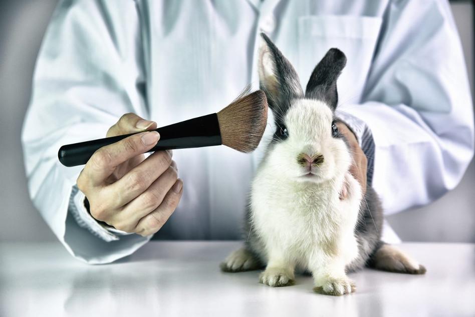 Projeto quer proibir que animais sejam cobaias em experimentos cosméticos e de higiene no RN